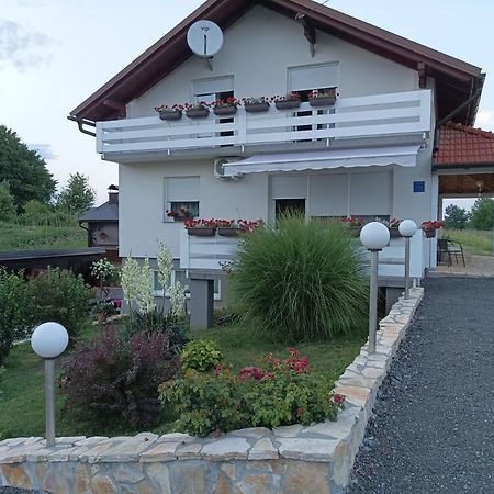 M&S&N Apartment Grabovac  Bagian luar foto