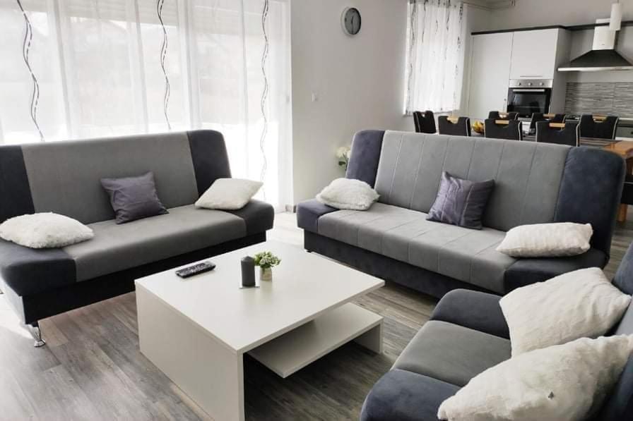 M&S&N Apartment Grabovac  Bagian luar foto
