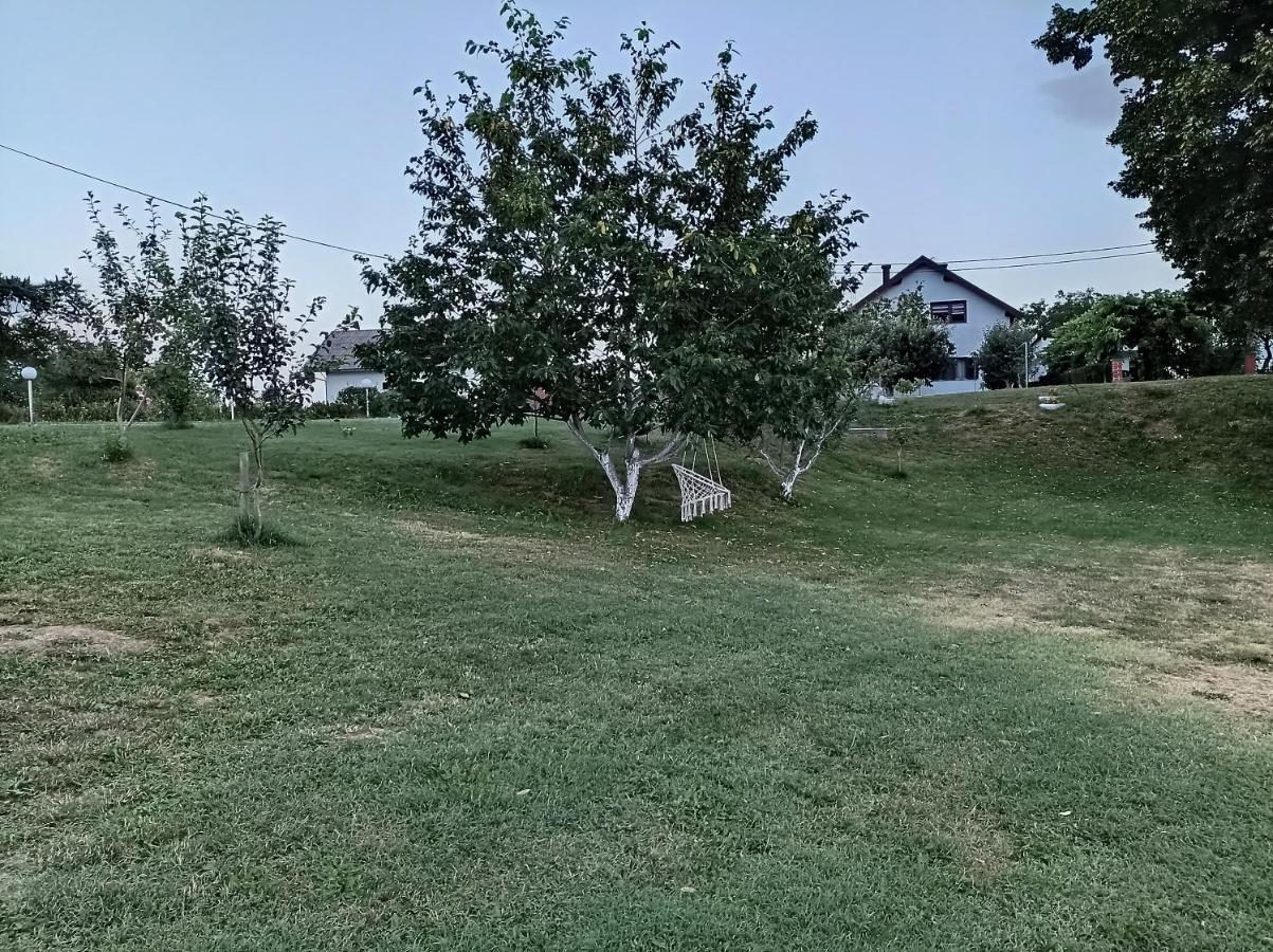 M&S&N Apartment Grabovac  Bagian luar foto